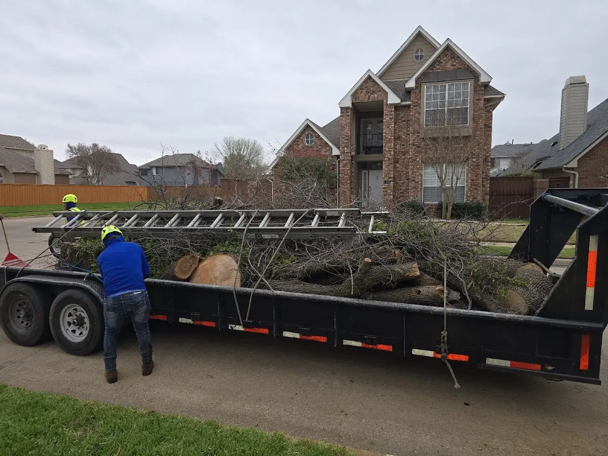 Expert Lot Clearing with proper safety equipment in Orange